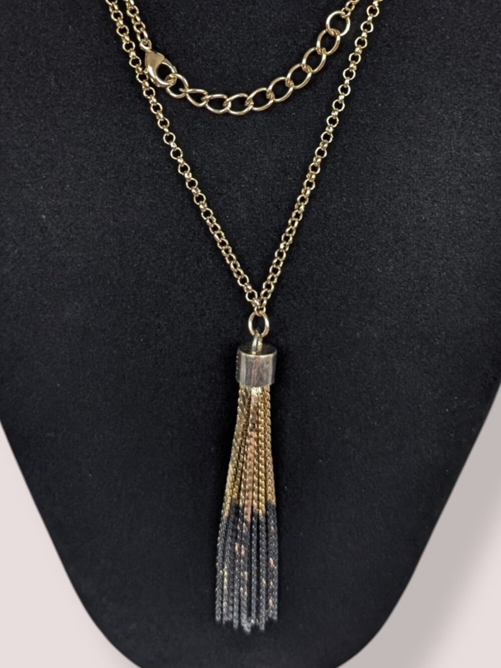 CC Skye Belcher Chain Darkened Tassel Necklace - Picture 2 of 6